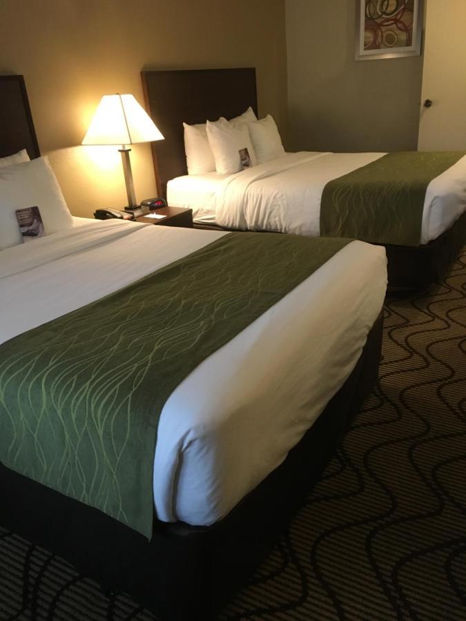 Comfort Inn & Suites Orange County John Wayne Airport Santa Ana Kültér fotó